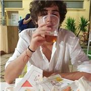 Ragazzo di Bologna, Studente UNIBO e diplomato al Liceo Classico M. Minghetti offre ripetizioni